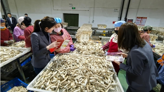 蘑菇培育种植基地开展3·15消费者权益保护宣传活动ayx爱游戏体育网页版入口广发银行济南历下支行走进(图5)