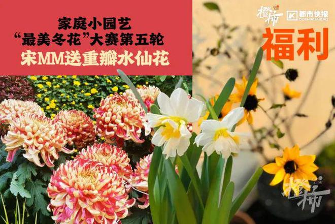 王茶姬动物手机支架……橙柿超多福利送送送爱游戏最新时髦人都有的巴拉克拉法帽、霸