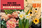 王茶姬动物手机支架……橙柿超多福利送送送